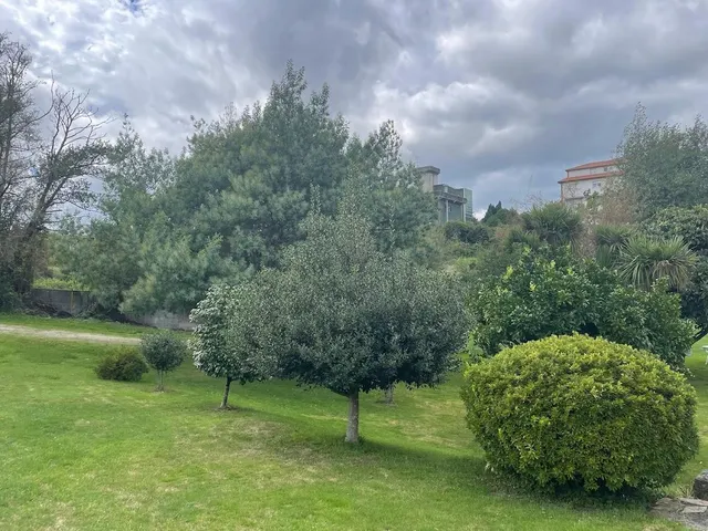 San Isidro. Finca 5.600M con Vivienda familiar — 37