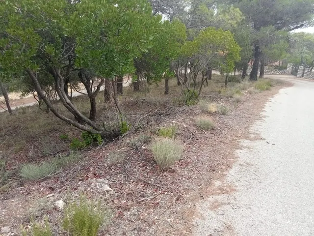 Parcela de 801m2 prácticamente llana, con muy buenas vistas — 2