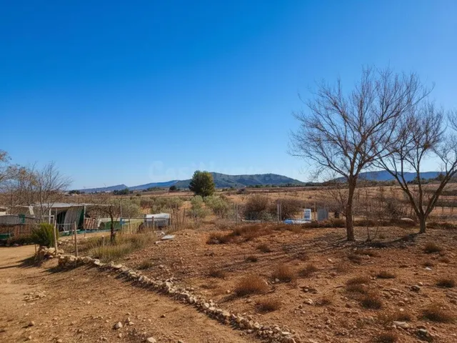 Amplio Chalet en Pinoso: ¡Tu Oportunidad de Inversión! ✨ - foto 2