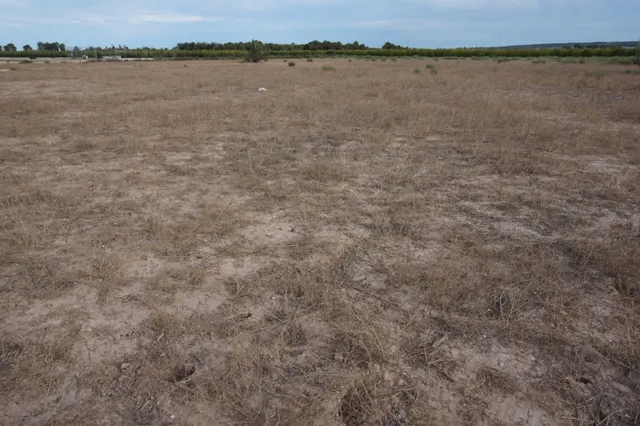 AMPLIA PARCELA DE 13000 M2 ZONA DE LA HOYA — 16