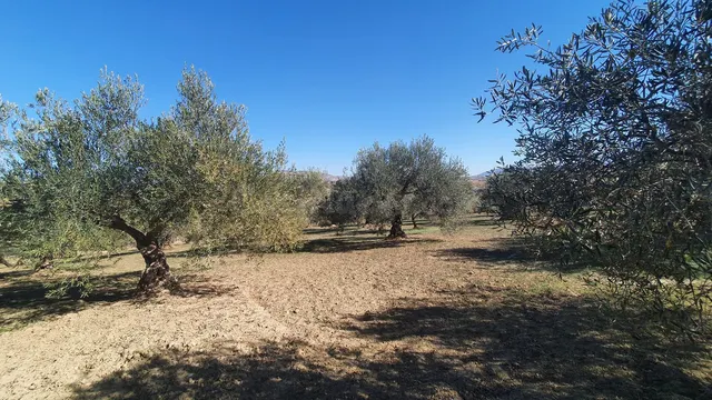 Parcela en venta - Costa del Sol - foto 3