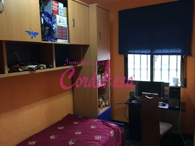MAGNIFICA CASA EN ALCOLEA. — 20
