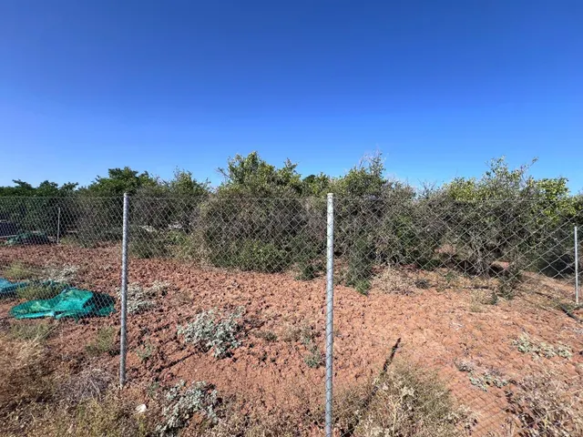 VENTA DE TERRENO EN LOS RUBILAES, GUILLENA. - foto 2