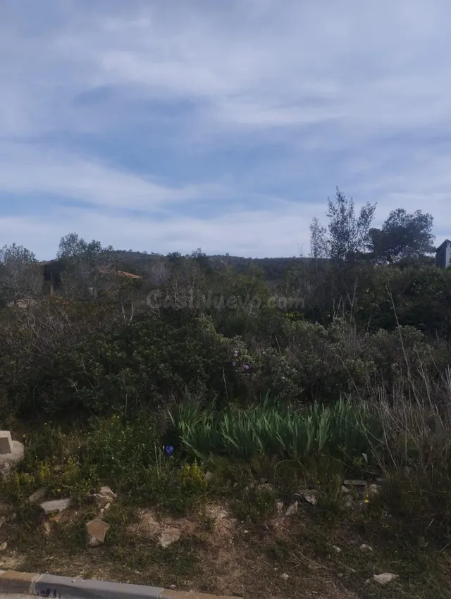 GRAN PARCELA EN VENTA EN CAN GORDEY - foto 2