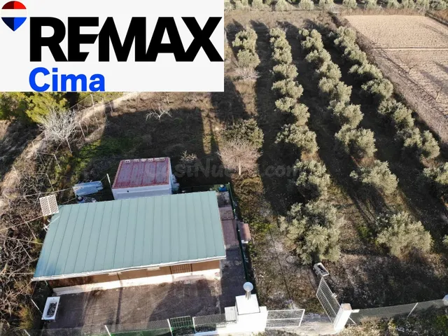 FINCA CON VIVIENDA JUNTO AL  NEGRATÍN – FREILA — 3