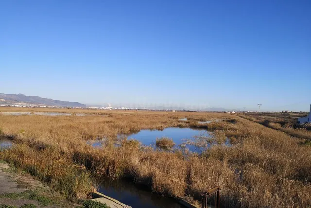 Terreno Rústico 745000m² en venta - Costa del azahar - foto 3