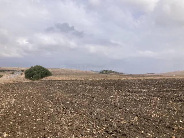 PARCELA RÚSTICA EN LA CARRETERA VEJER- EL PALMAR - foto 2