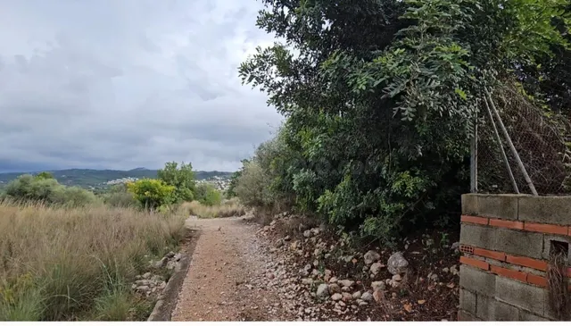 Se vende parcela rústica en término de Tormos - foto 4