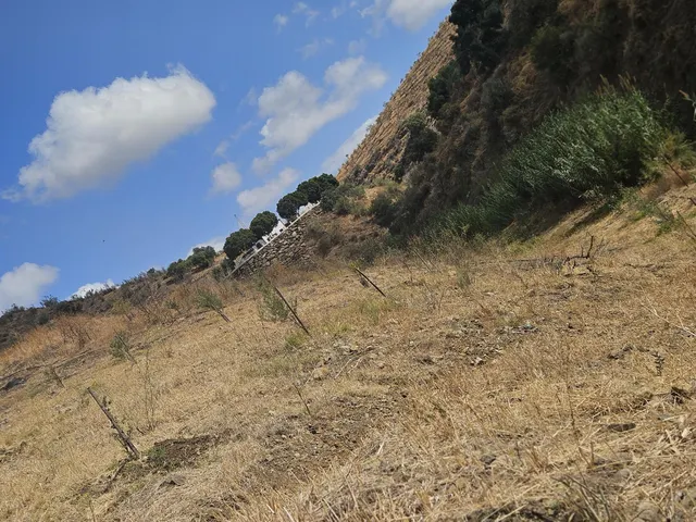 Parcela en venta - South of spain — 8
