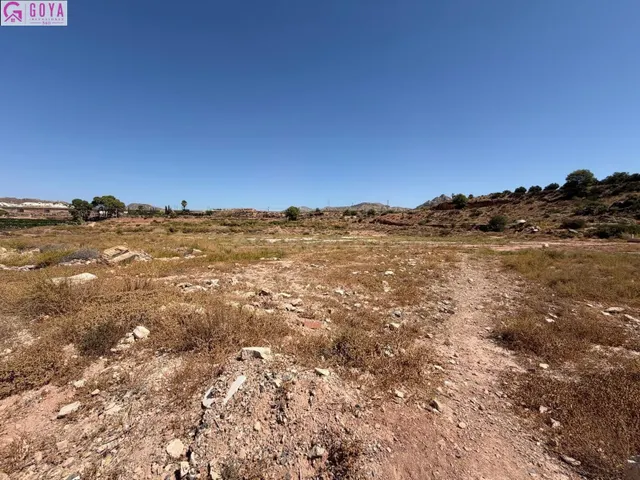 TERRENO RUSTICO EN NOVELDA - foto 3