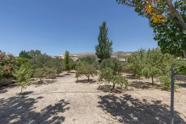 Terreno urbano en la aldea de los Bermejales, termino de Arenas del Rey — 17