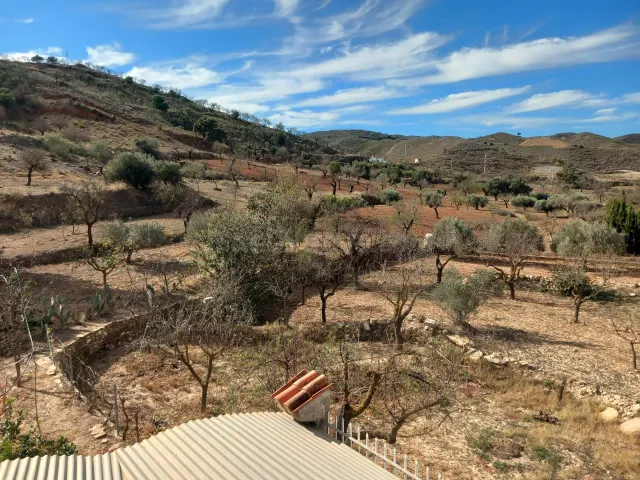 TERRENO URBANO CONSOLIDADO CON CORTIJO EN LUBRÍN - foto 4
