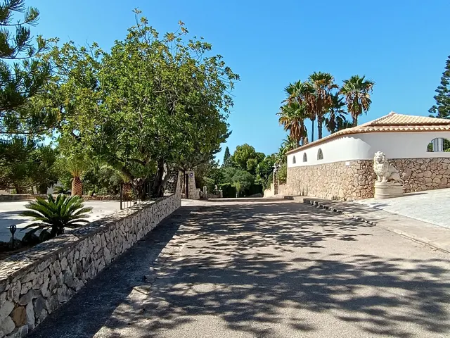 Excepcional terreno de 4.000 m2 en Montepego — 8