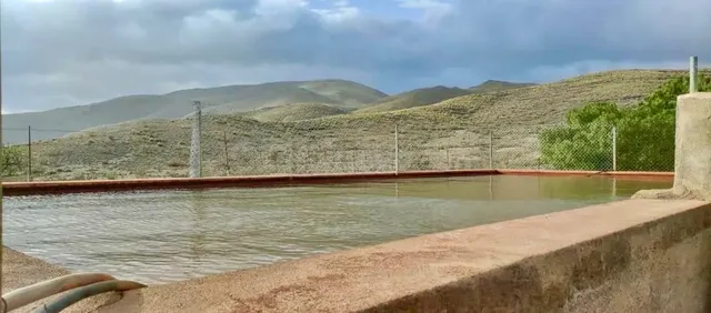 Finca agrícola y ganadera de 25.000 m2 con pozo propio, placas solares y plantación en producción en Gérgal — 11