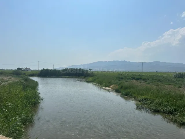 Oportunidad: Finca Rústica - Arrozal - foto 5
