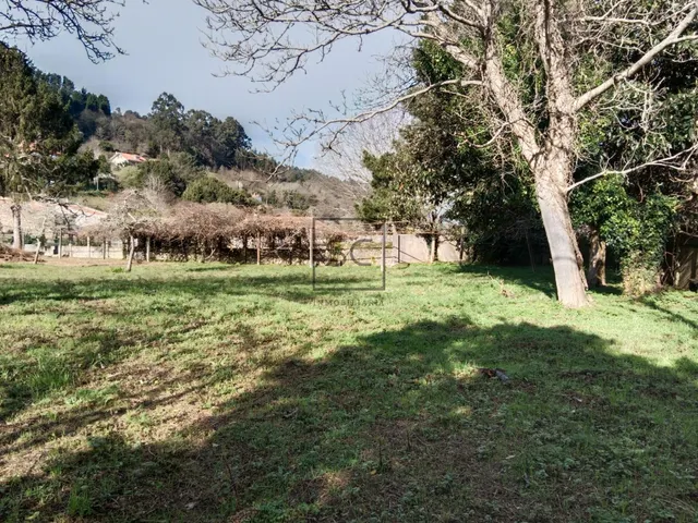 FINCA EDIFICABLE CAMPOLONGO-PONTEDEUME — 14