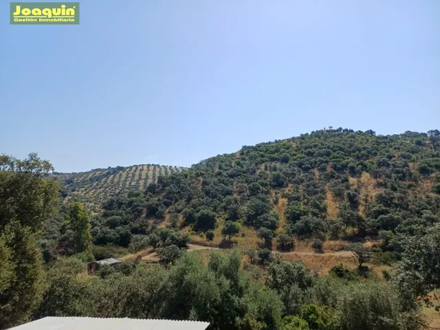 FINCA DE 13.272 METROS DE TERRENO VALLADA EN MONTORO. - foto 4