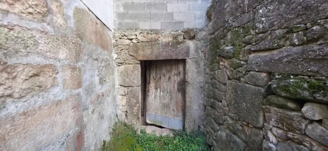 CASA DE PIEDRA EN RUINAS CON PARCELA EN DODRO — 8