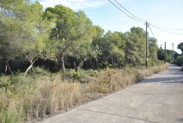 Parcela Rústica en el municipio de Cubelles, 5.560 mts2 Corral d'en Cona — 5