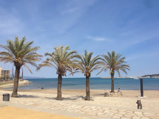 Casa en muy buen estado con piscina privada en la zona de Puig Sec — 39