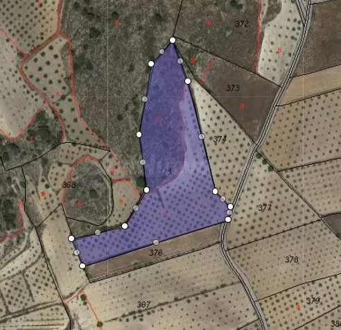 Parcela 400m² en venta - Jumilla - foto 5