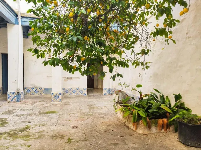 SE VENDE CASA ESTILO ANDALUZ, IDEAL PARA HACER VARIOS APARTA - foto 4