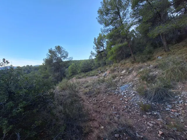 Finca rústica forestal en venta con vistas panoramicas · Castalla (Alicante) — 15