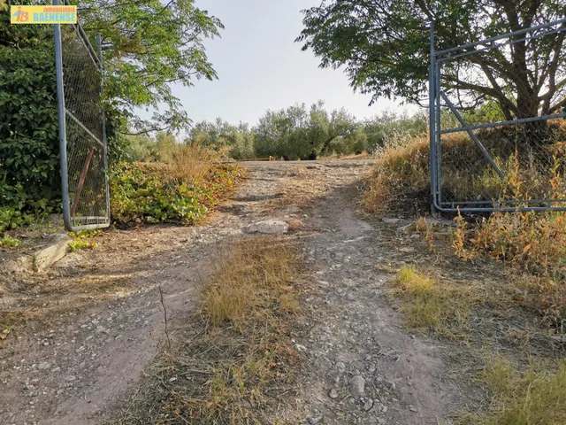 Huerta en venta — 2