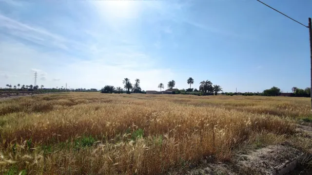 SE VENDE CASA DE CAMPO CON 42.000 M2 DE PARCELA. — 31