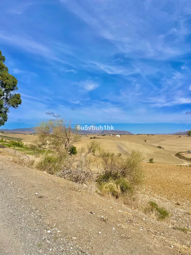 Parcela en venta - Can bosc 1 — 7