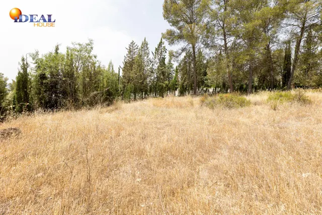 EXCLUSIVO TERRENO EN VENTA EN ALBOLOTE — 26