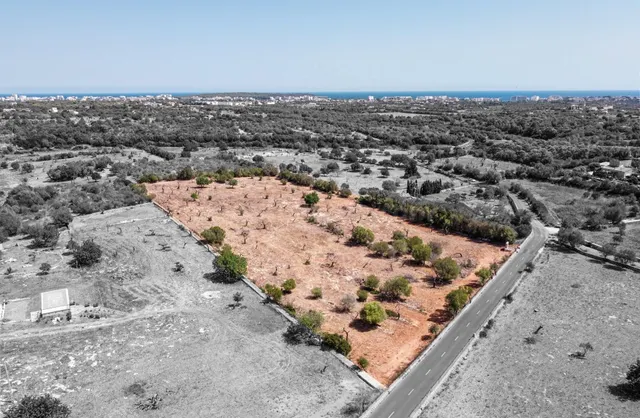 Finca rústica con proyecto de vivienda unifamiliar en Sa Gru - foto 2