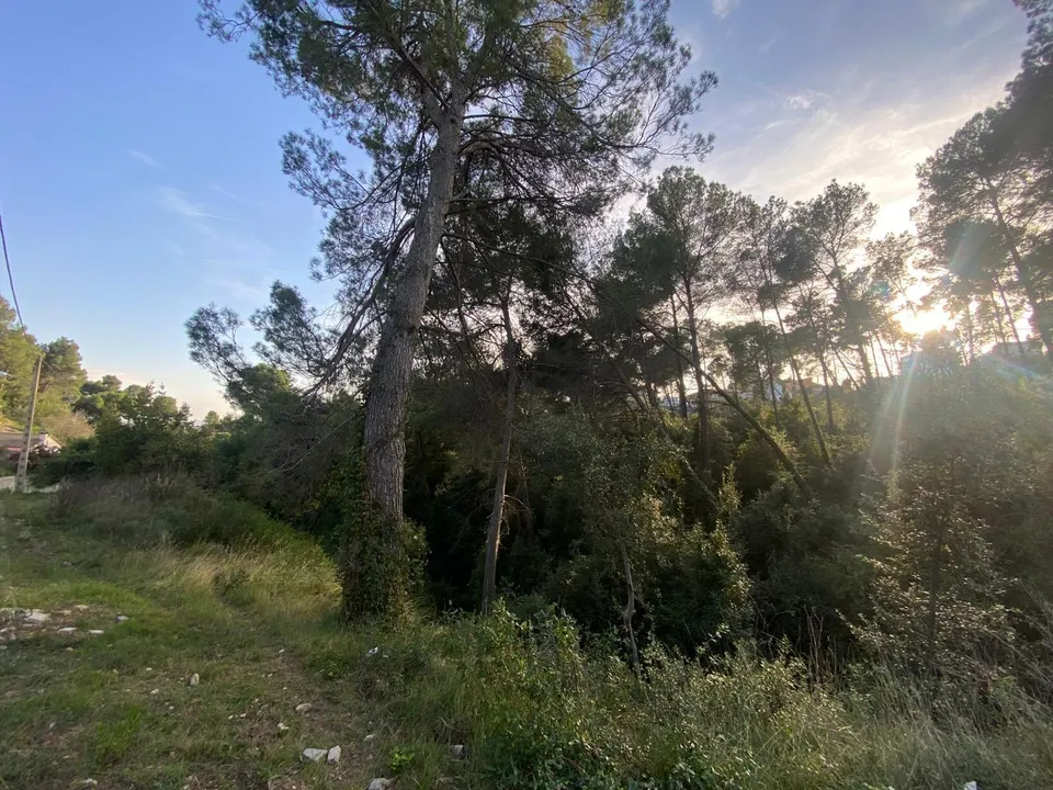 TERRENO CON INFINITAS POSIBILIDADES UBICADO EN RUBÍ