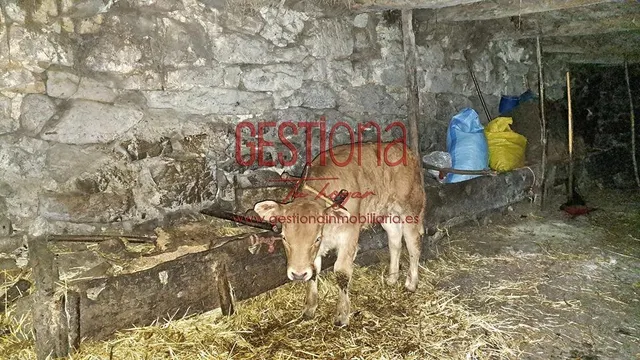 CABAÑA DE PIEDRA EN SOBA. VALDICCON — 11