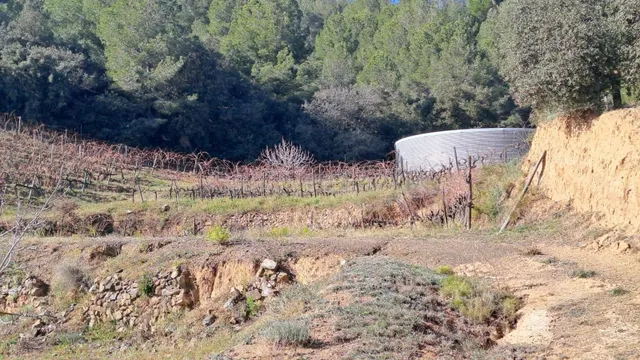 Venta Finca Rústica, Urb. Castellmoster, Castellvell Del Cam - foto 3