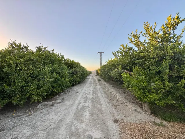 TERRENO RÚSTICO EN VENTA A TAN SOLO 5 MIN DE ORIHUELA CON PL