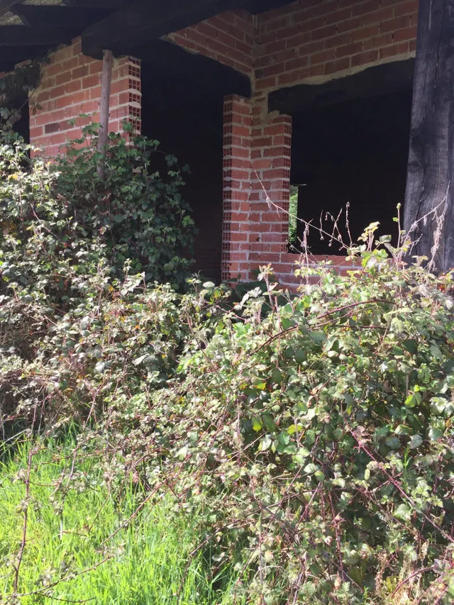 CABAÑA INDEPENDIENTE CON TERRENO EN RUENTE — 4