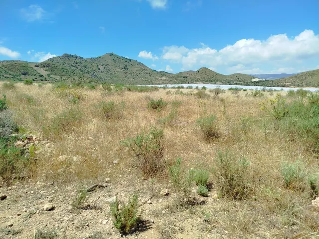 Terreno rural en venta - Leiva - foto 4