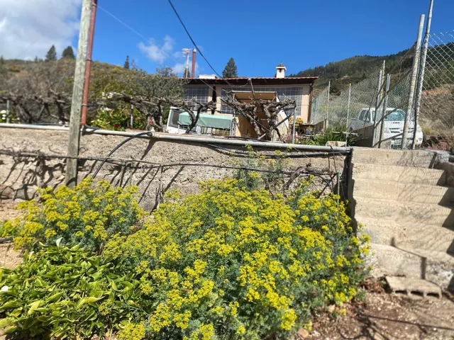 Gran oportunidad de negocio en Granadilla de Abona. - foto 5