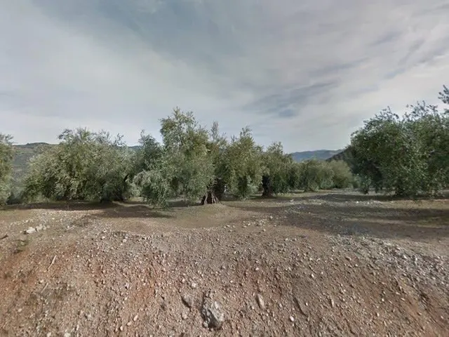 SUELO RÚSTICO NO URBANIZABLE - ZAHARA DE LA SIERRA (CÁDIZ) — 8