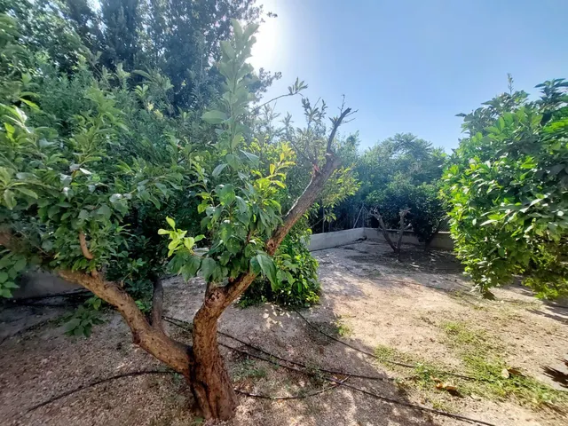 Casa de hueta en Llano de Brujas — 6