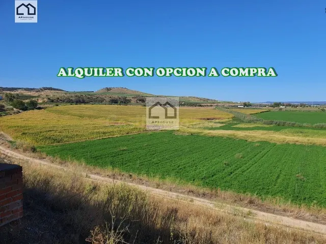 APIHOUSE VENDE FINCA DE REGADIO EN LA VEGA DEL RIO TAJO. PRE