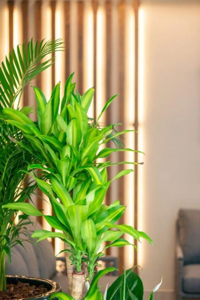 Apartamento 3 habitaciones 90m² en venta - Aloha — 48