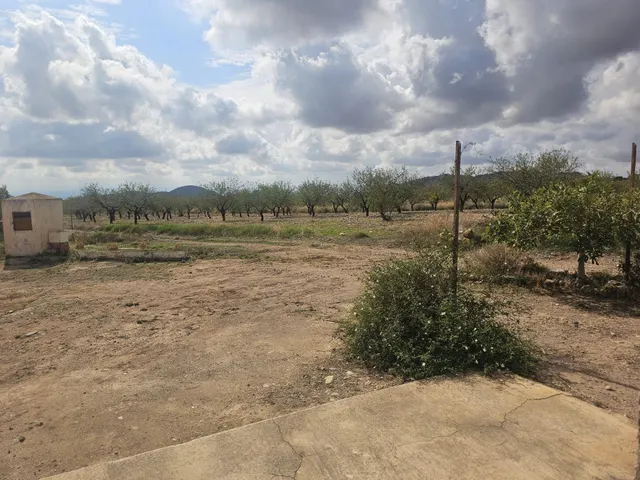 Casa de campo con terreno en la murta, corvera - Murcia — 11