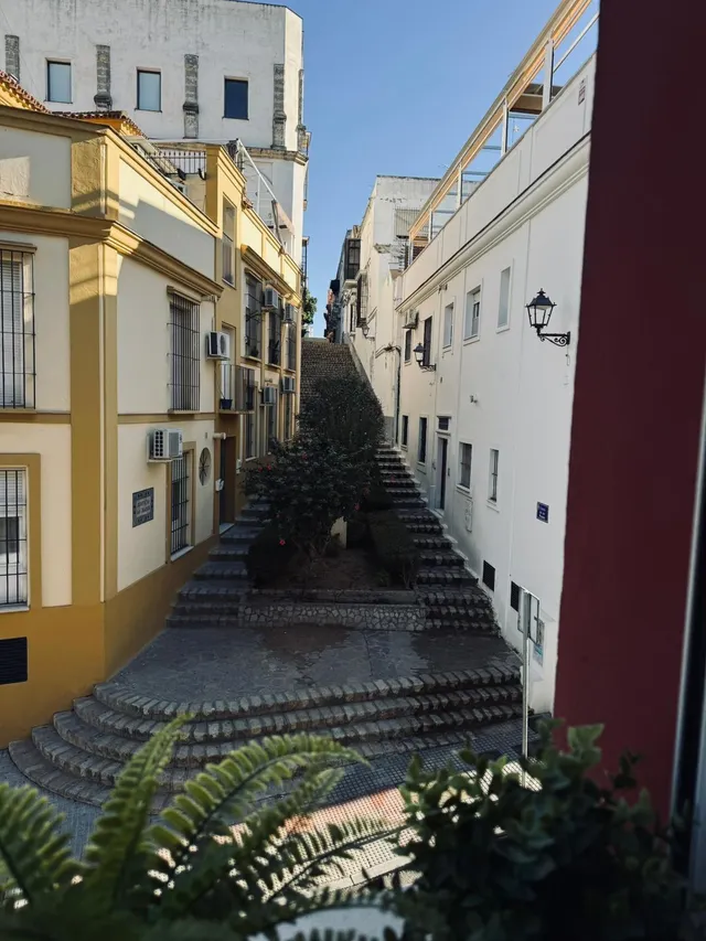 VIVIENDA SITUADA EN CALLE GANADO. — 10