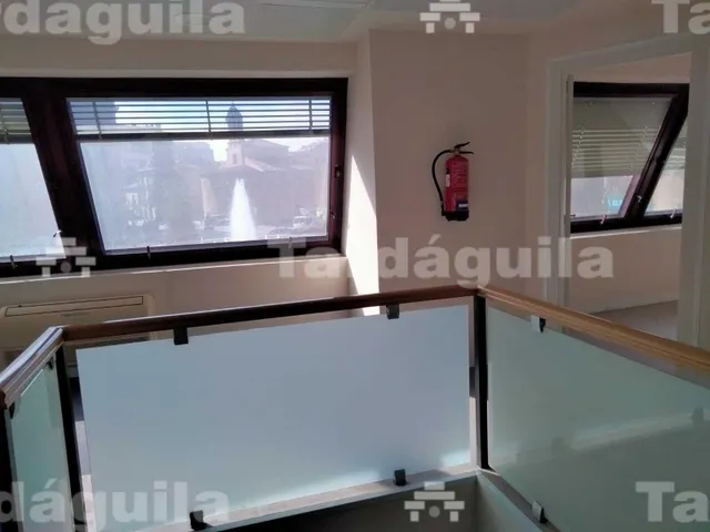 LOCAL EN PUERTA ZAMORA. — 11