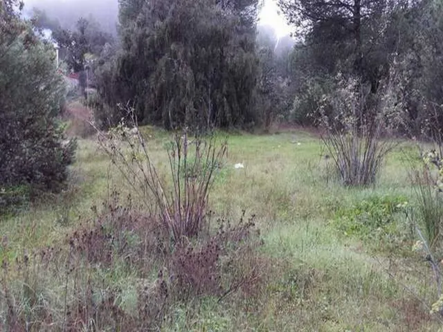 TERRENO URBANO EN LAS JARAS - foto 2