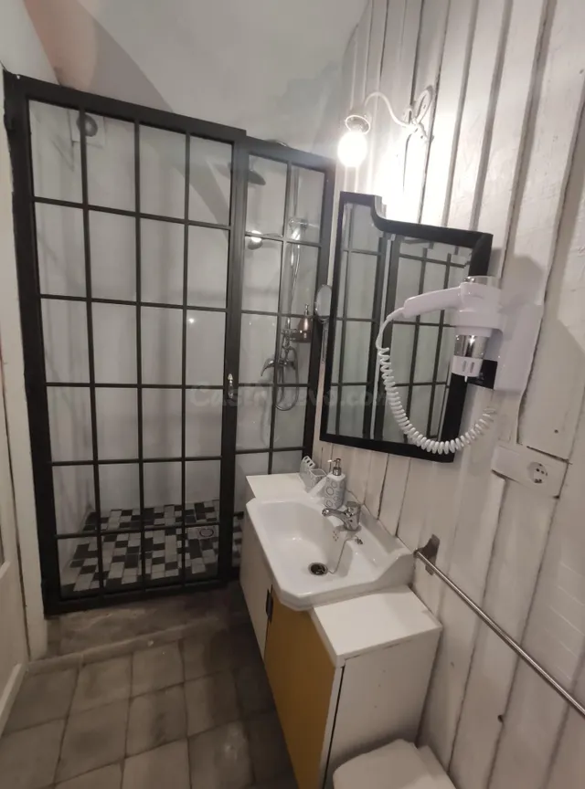 Apartamento 1 habitación 40m² en alquiler - Plaza de la conc - foto 4