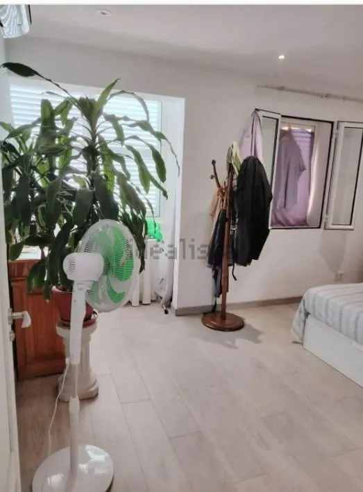 OPORTUNIDAD ÚNICA EN SON RAPINYA – PALMA DE MALLORCA — 17