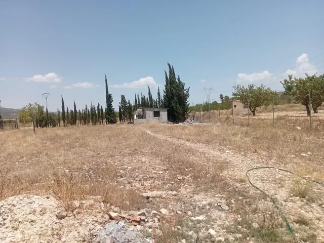 Campo en monovar — 10